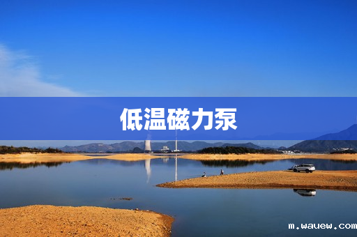 低温磁力泵 低温磁力泵