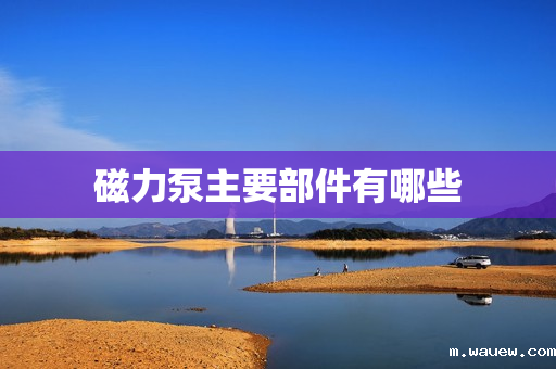 磁力泵主要部件有哪些 磁力泵主要部件有哪些