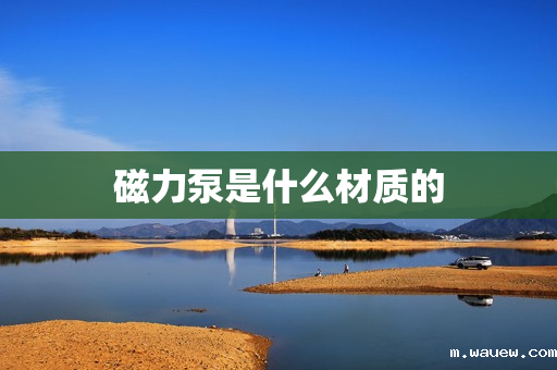 磁力泵是什么材质的 磁力泵是什么材质的