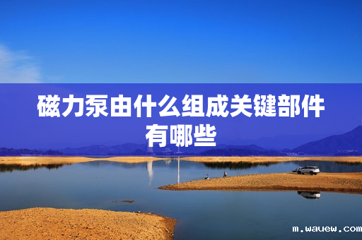 磁力泵由什么组成关键部件有哪些 磁力泵由什么组成关键部件有哪些