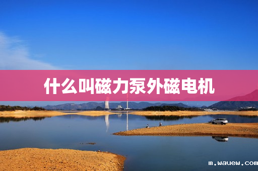 什么叫磁力泵外磁电机 什么叫磁力泵外磁电机