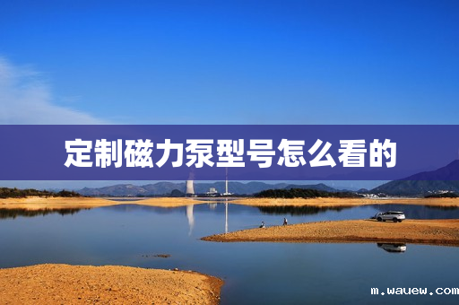 定制磁力泵型号怎么看的 定制磁力泵型号怎么看的