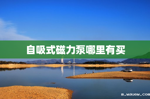 自吸式磁力泵哪里有买 自吸式磁力泵哪里有买