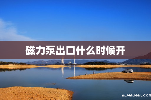 磁力泵出口什么时候开 磁力泵出口什么时候开