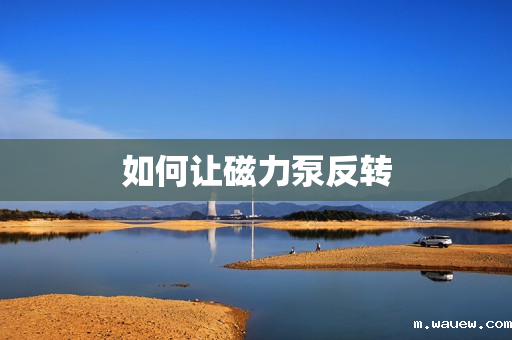 如何让磁力泵反转 如何让磁力泵反转