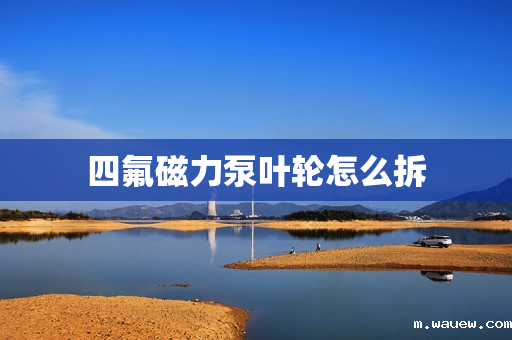 四氟磁力泵叶轮怎么拆 四氟磁力泵叶轮怎么拆