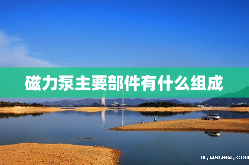 磁力泵主要部件有什么组成 磁力泵主要部件有什么组成