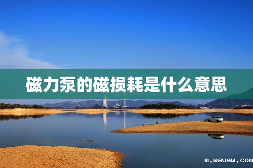 磁力泵的磁损耗是什么意思 磁力泵的磁损耗是什么意思