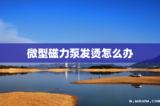 微型磁力泵发烫怎么办 微型磁力泵发烫怎么办