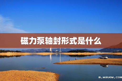 磁力泵轴封形式是什么 磁力泵轴封形式是什么