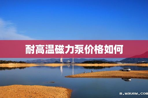 耐高温磁力泵价格如何 耐高温磁力泵价格如何