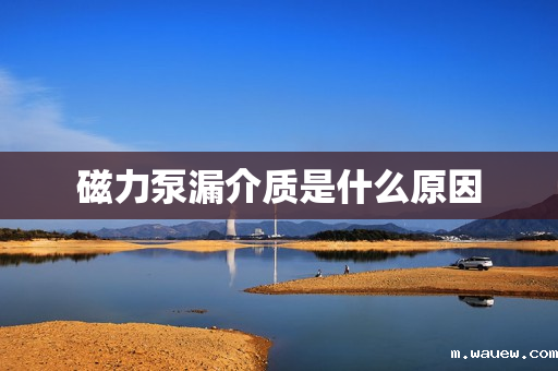 磁力泵漏介质是什么原因 磁力泵漏介质是什么原因