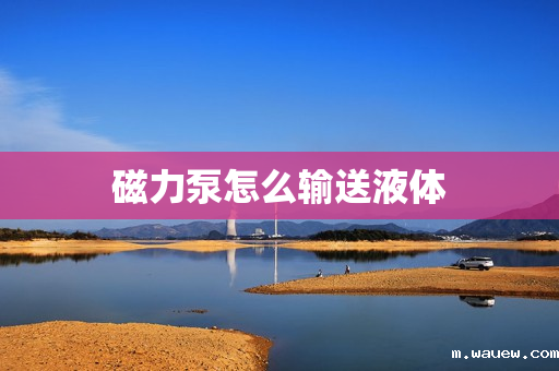 磁力泵怎么输送液体 磁力泵怎么输送液体