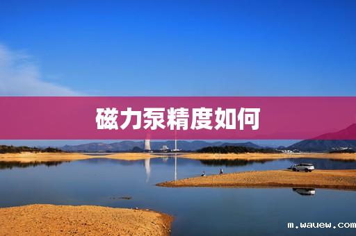 磁力泵精度如何 磁力泵精度如何