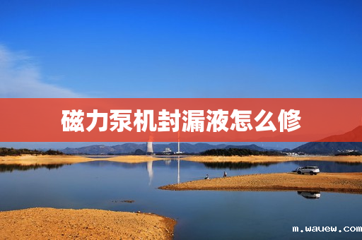 磁力泵机封漏液怎么修 磁力泵机封漏液怎么修