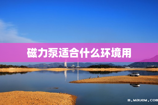 磁力泵适合什么环境用 磁力泵适合什么环境用