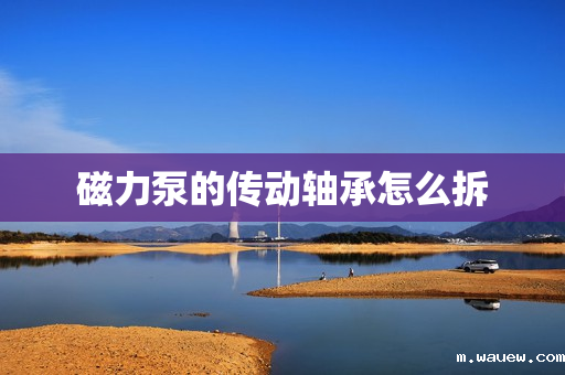 磁力泵的传动轴承怎么拆 磁力泵的传动轴承怎么拆