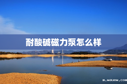 耐酸碱磁力泵怎么样 耐酸碱磁力泵怎么样