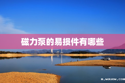 磁力泵的易损件有哪些 磁力泵的易损件有哪些