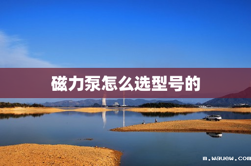 磁力泵怎么选型号的 磁力泵怎么选型号的