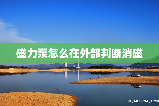 磁力泵怎么在外部判断消磁 磁力泵怎么在外部判断消磁