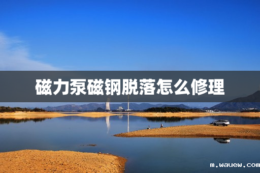 磁力泵磁钢脱落怎么修理 磁力泵磁钢脱落怎么修理