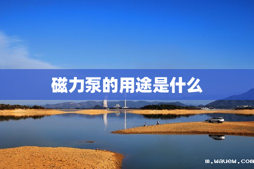 磁力泵的用途是什么 磁力泵的用途是什么