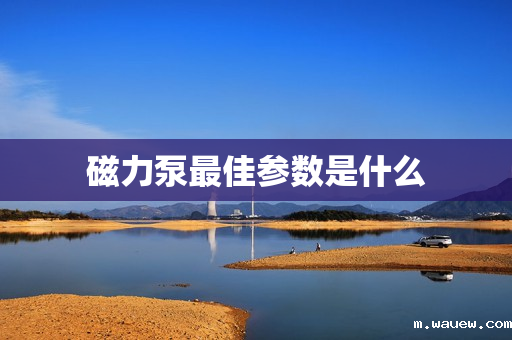 磁力泵最佳参数是什么 磁力泵最佳参数是什么