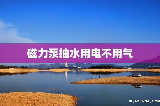 磁力泵抽水用电不用气 磁力泵抽水用电不用气