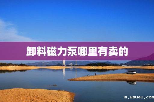 卸料磁力泵哪里有卖的 卸料磁力泵哪里有卖的