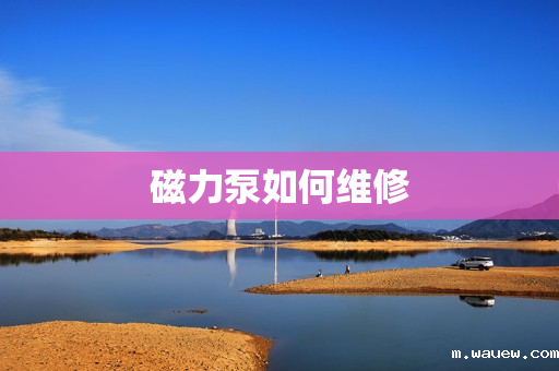 磁力泵如何维修 磁力泵如何维修