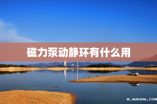 磁力泵动静环有什么用 磁力泵动静环有什么用