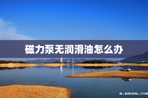 磁力泵无润滑油怎么办 磁力泵无润滑油怎么办