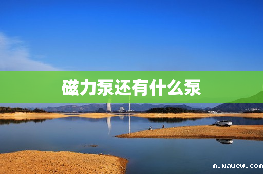 磁力泵还有什么泵 磁力泵还有什么泵