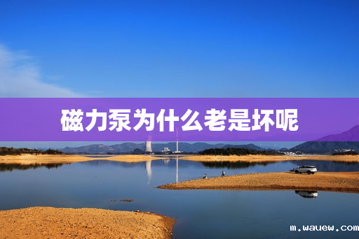 磁力泵为什么老是坏呢 磁力泵为什么老是坏呢