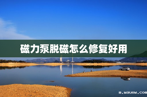 磁力泵脱磁怎么修复好用 磁力泵脱磁怎么修复好用