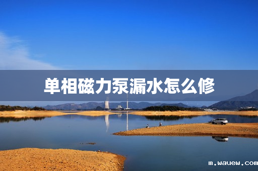 单相磁力泵漏水怎么修 单相磁力泵漏水怎么修