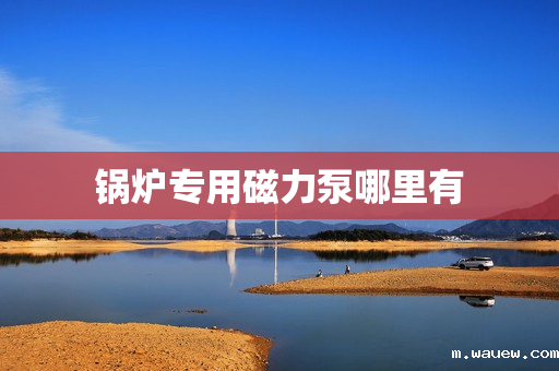 锅炉专用磁力泵哪里有 锅炉专用磁力泵哪里有