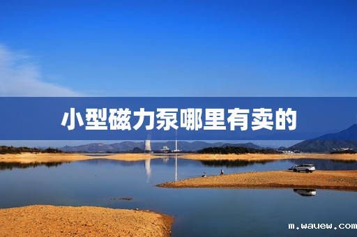 小型磁力泵哪里有卖的 小型磁力泵哪里有卖的