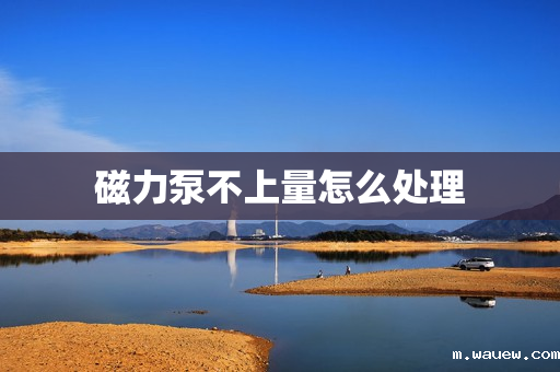 磁力泵不上量怎么处理 磁力泵不上量怎么处理