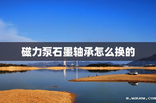 磁力泵石墨轴承怎么换的 磁力泵石墨轴承怎么换的