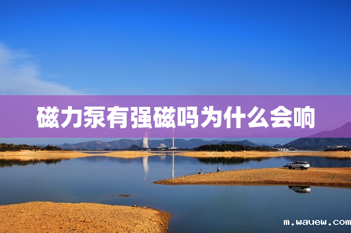 磁力泵有强磁吗为什么会响 磁力泵有强磁吗为什么会响