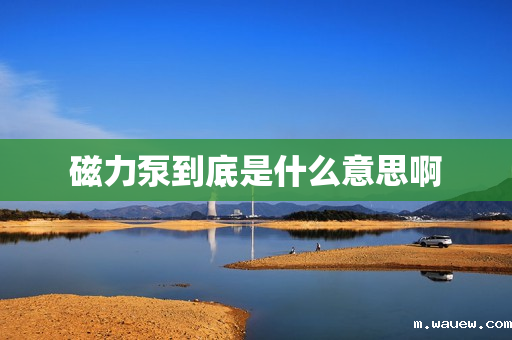 磁力泵到底是什么意思啊 磁力泵到底是什么意思啊