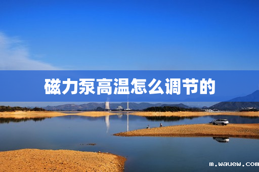 磁力泵高温怎么调节的 磁力泵高温怎么调节的