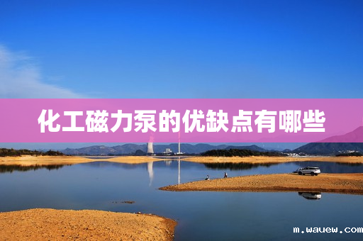 化工磁力泵的优缺点有哪些 化工磁力泵的优缺点有哪些