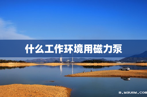 什么工作环境用磁力泵 什么工作环境用磁力泵