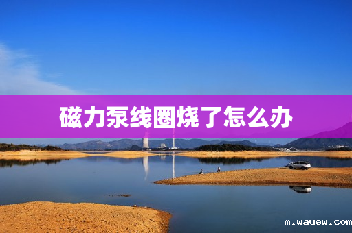 磁力泵线圈烧了怎么办 磁力泵线圈烧了怎么办