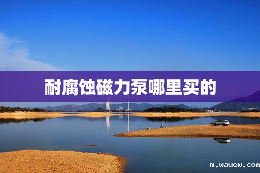 耐腐蚀磁力泵哪里买的 耐腐蚀磁力泵哪里买的