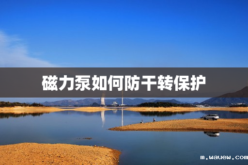 磁力泵如何防干转保护 磁力泵如何防干转保护