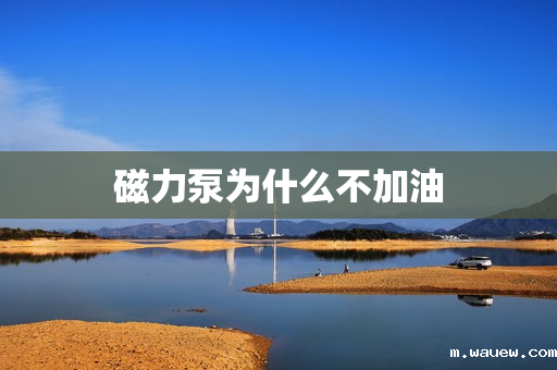 磁力泵为什么不加油 磁力泵为什么不加油